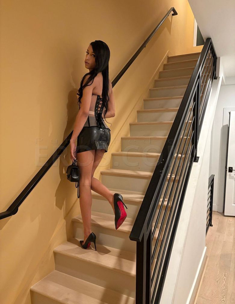 Prima Donna — photo 4