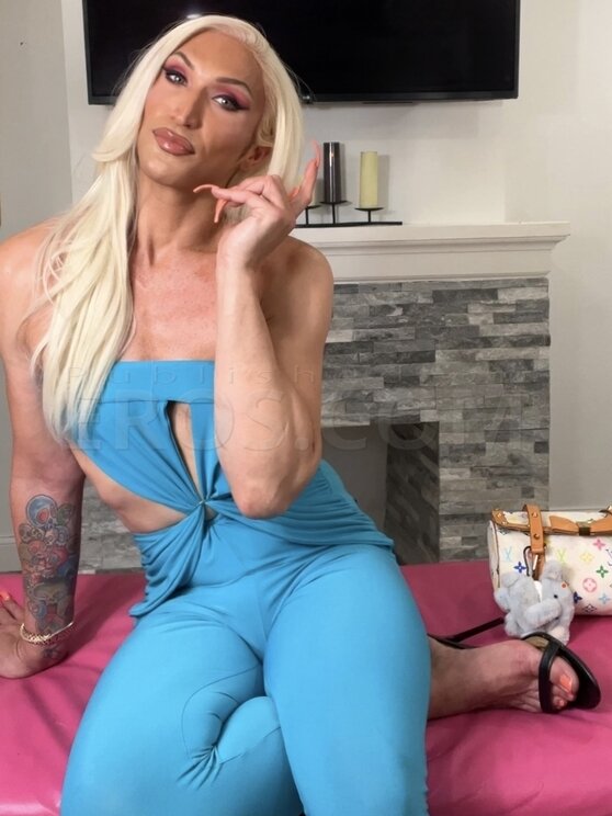 TS Astoria Gray