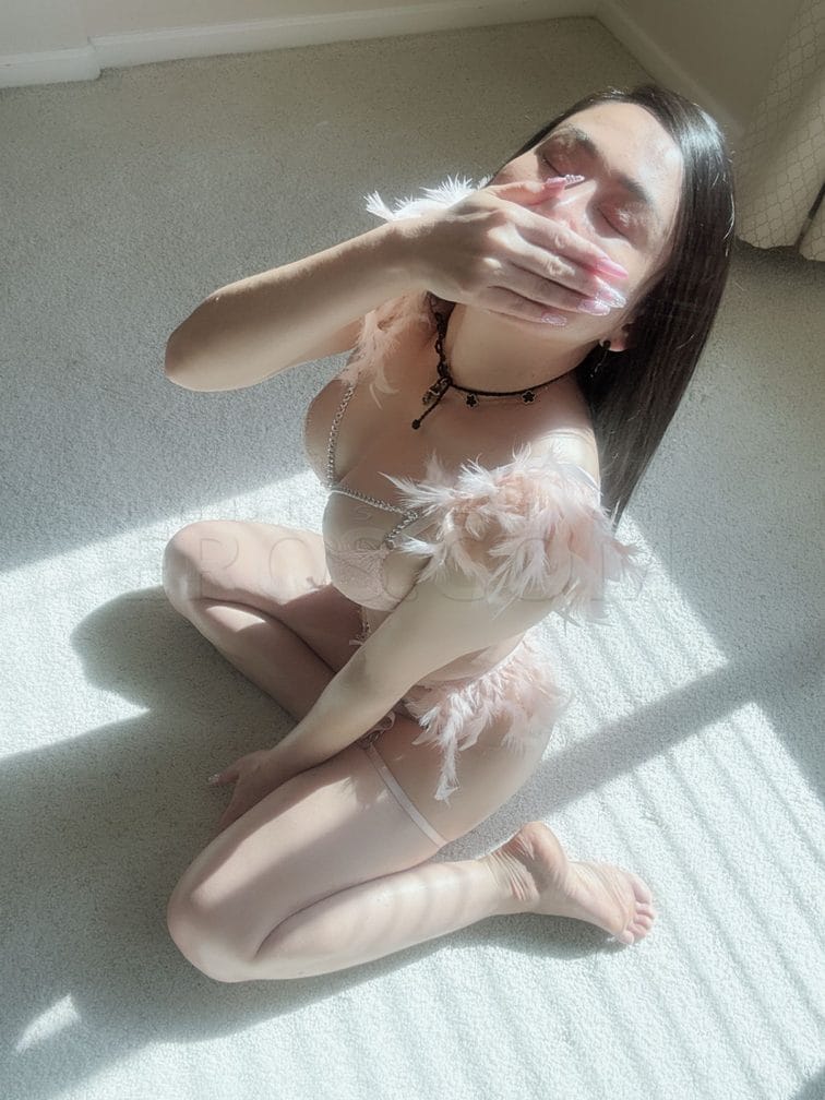Song — photo 8