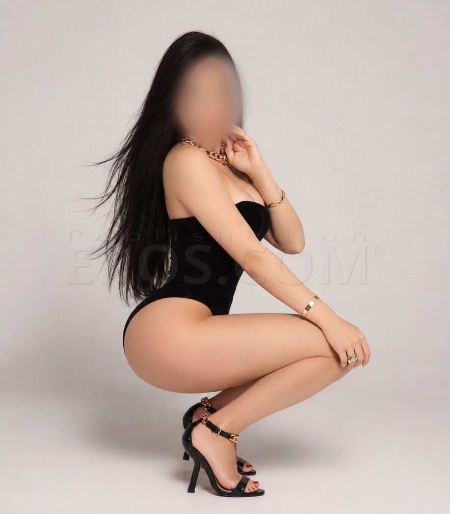 NOVI - Ayla Torre — photo 1