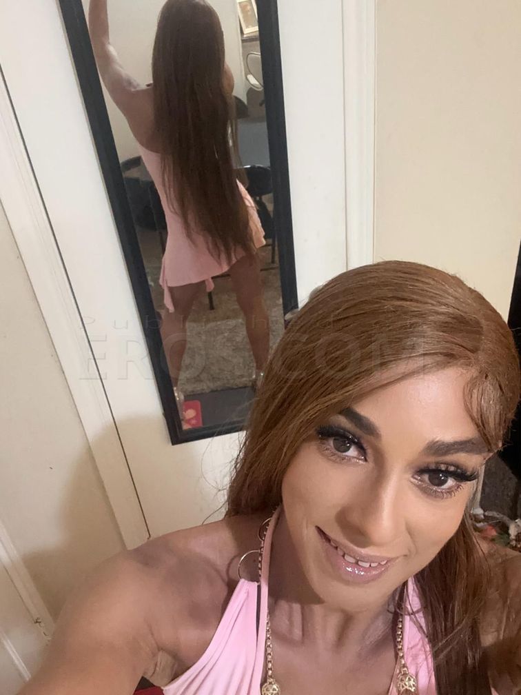 Elegant high- coompanionship