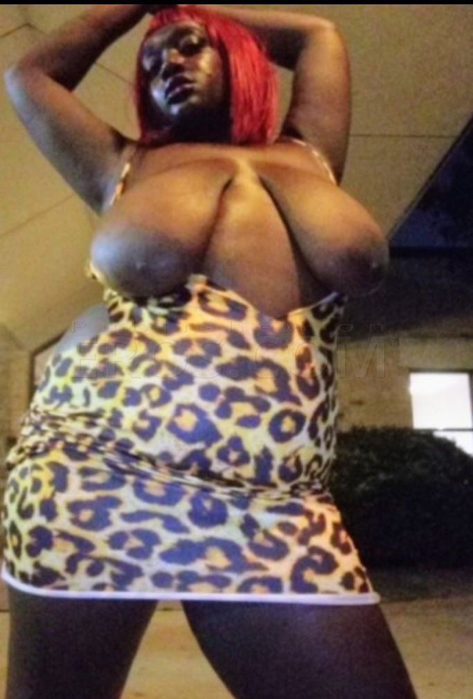 Calypso Sterling — photo 5