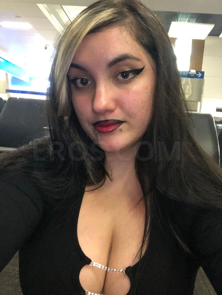 Miss Velvet — photo 4