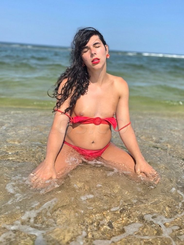 Sasha Sahera — photo 6