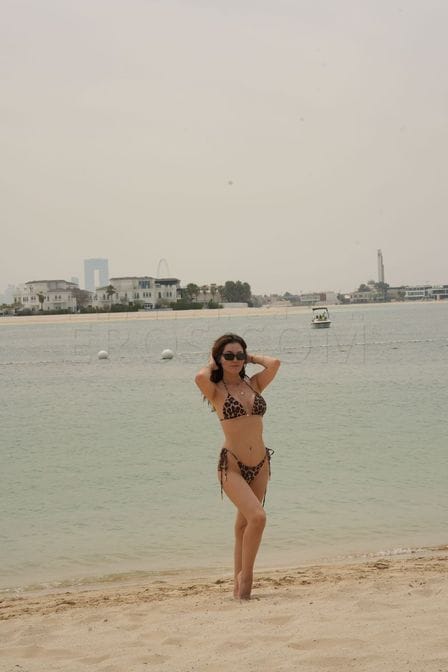 VIP Candy C King of Prussia