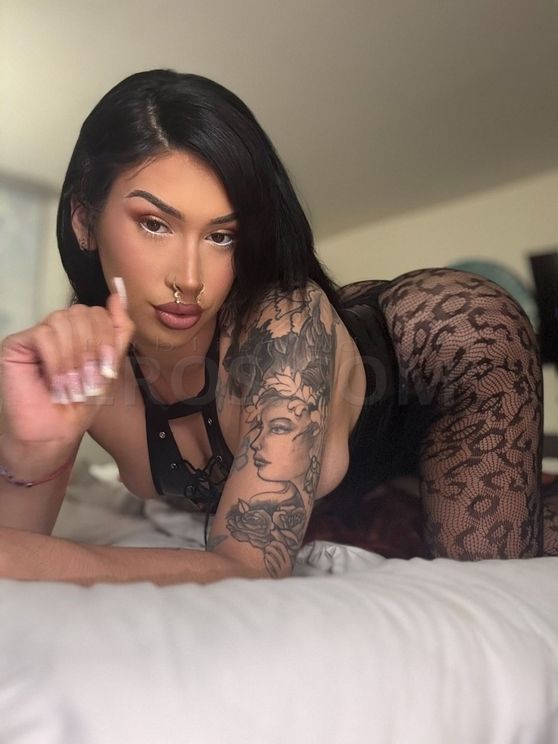 TS Dahlia Dinero
