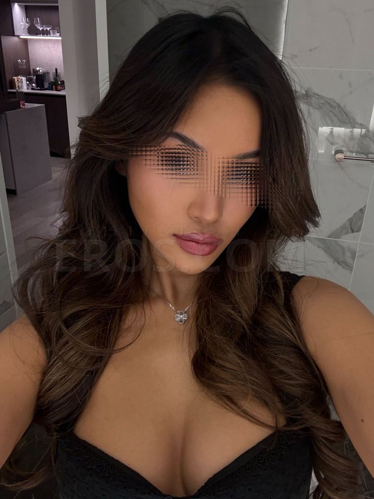 Elegant Seattle Companion