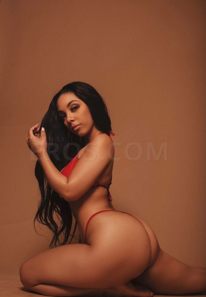 Jasmine — photo 7
