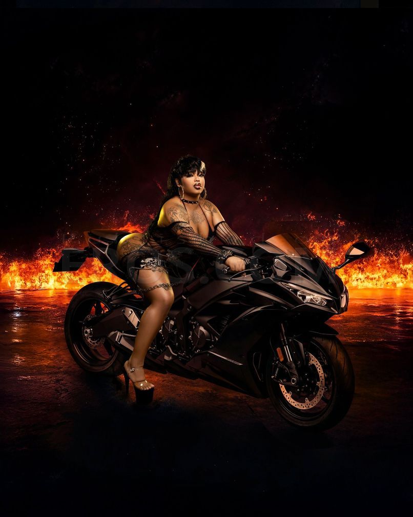 The Best You Will Ever Have