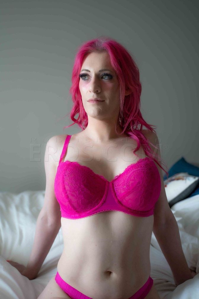 Quinn, Trans Companion — photo 4