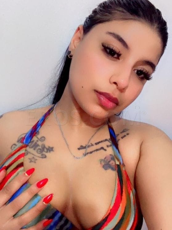 Domi vic