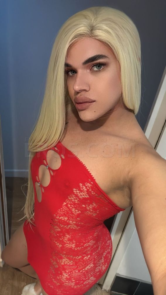 Isabela latina — photo 4