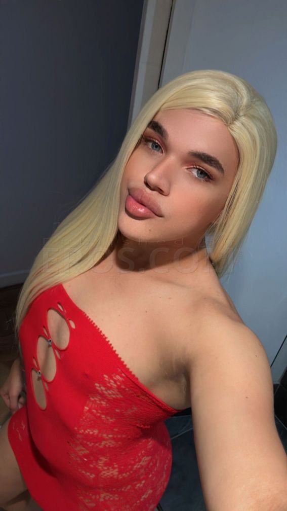 Isabela latina — photo 1