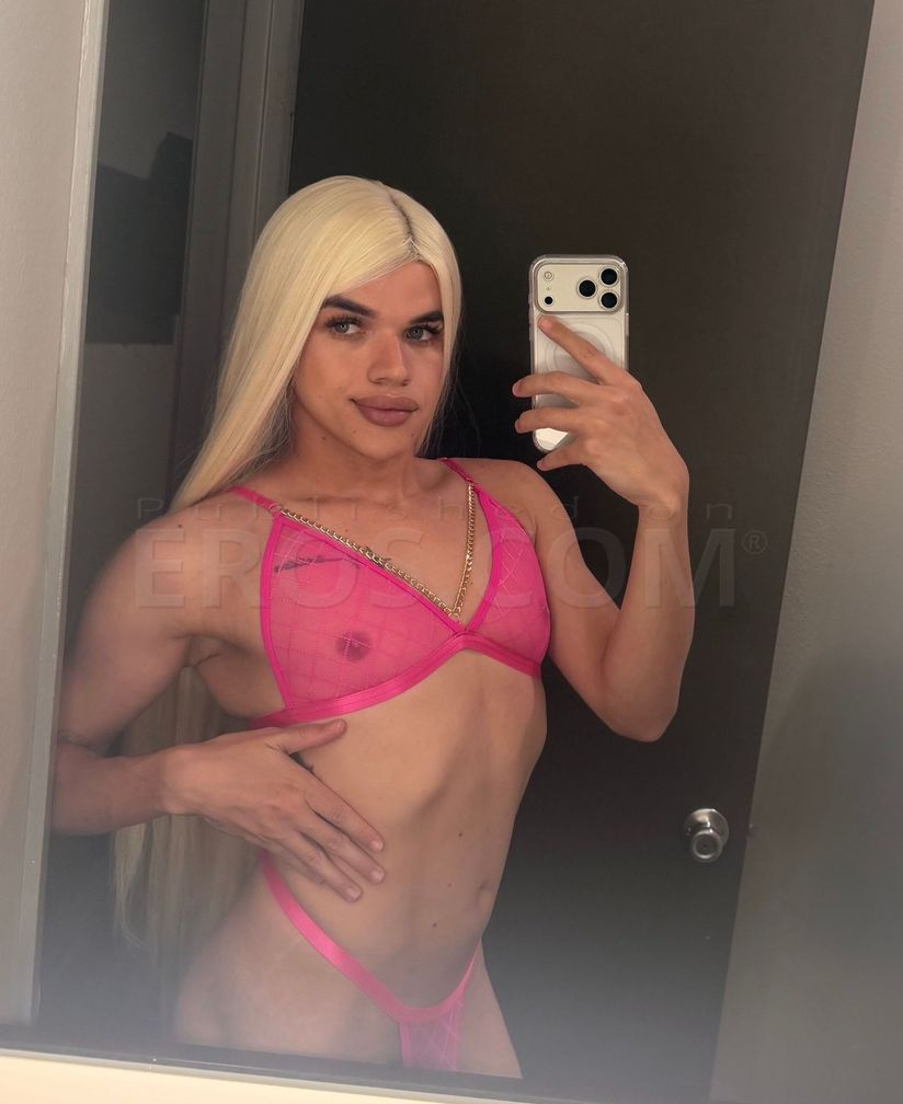 Isabela latina — photo 8