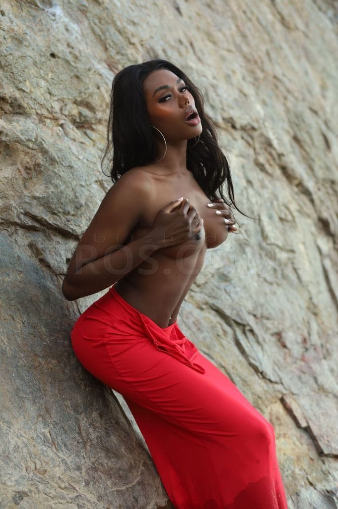 Sirena H — photo 6