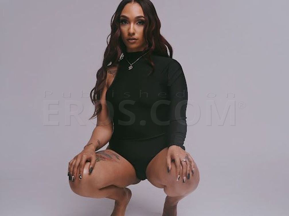 Midnight Muse — photo 5