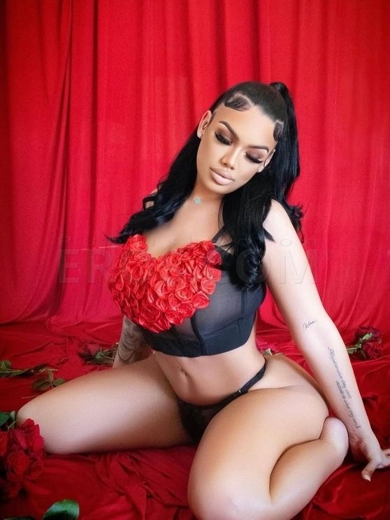 Cierra