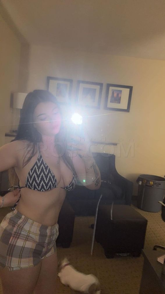 Alexa — photo 4