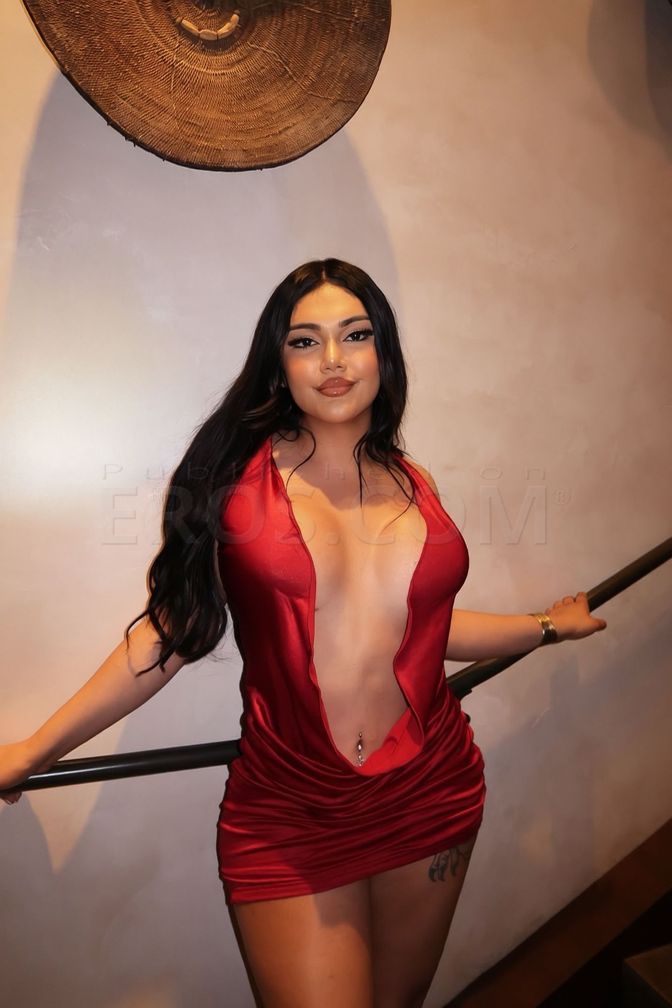 Bibi — photo 6