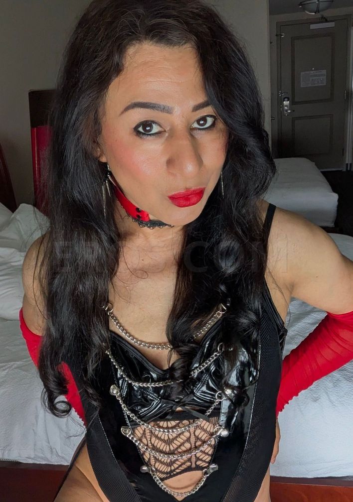 Gipsy Schaumburg