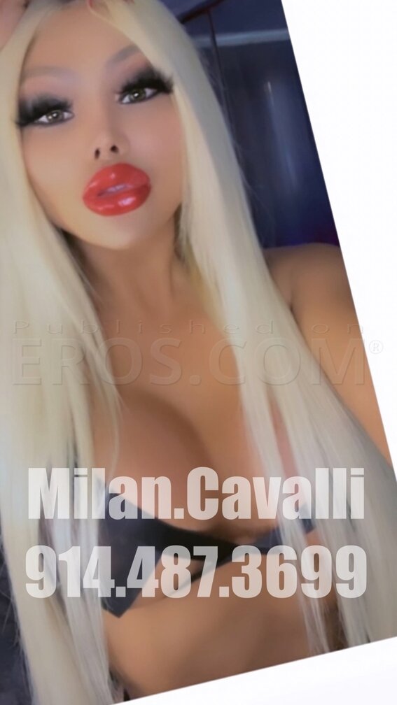 MILAN CAVALLI — photo 4