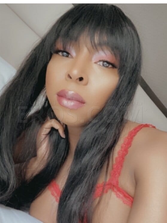 TS Sexy Lexy