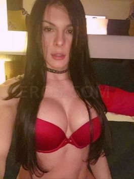 TS Topmodeltrans
