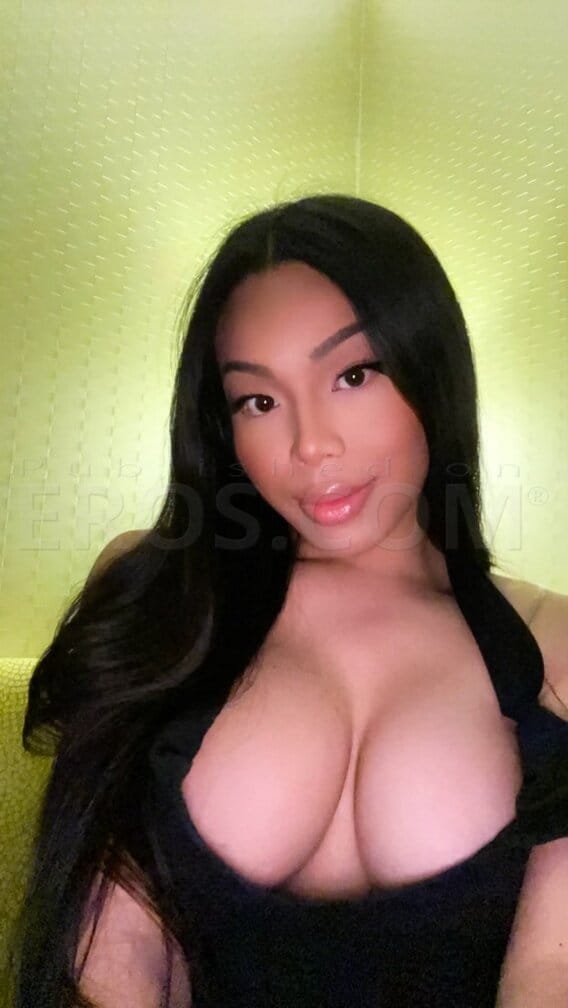 VIVI in king of Prussia