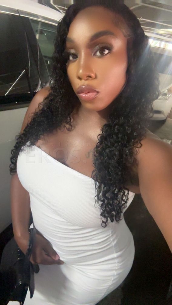 Nova — photo 6