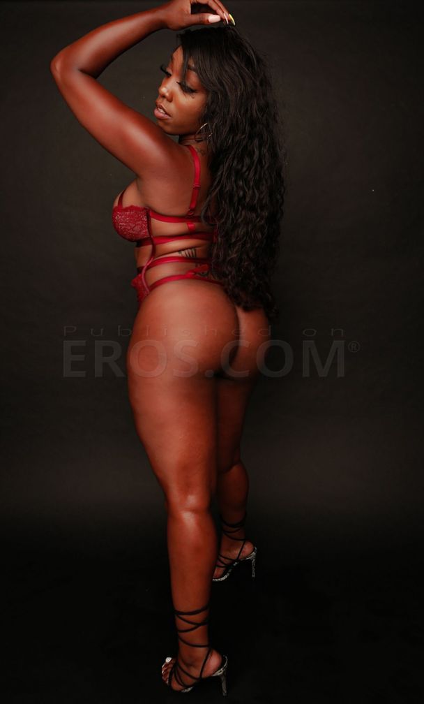 Nova Rose — photo 6
