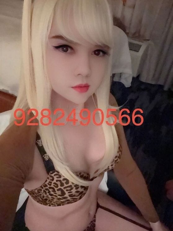 TS GALLERIA-TS LEONY