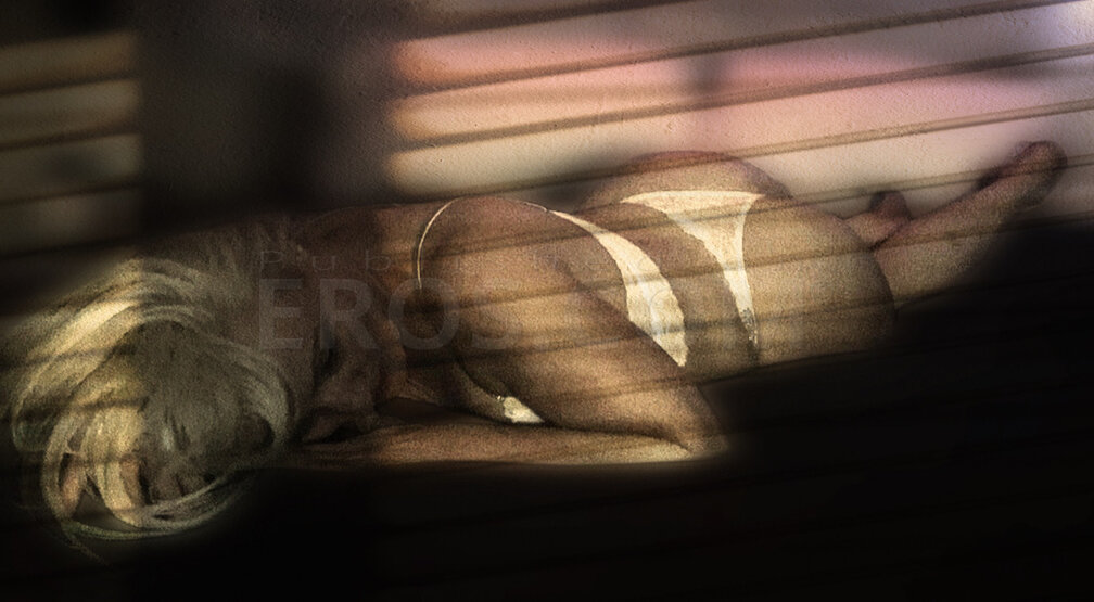 Courtneys Corner USA