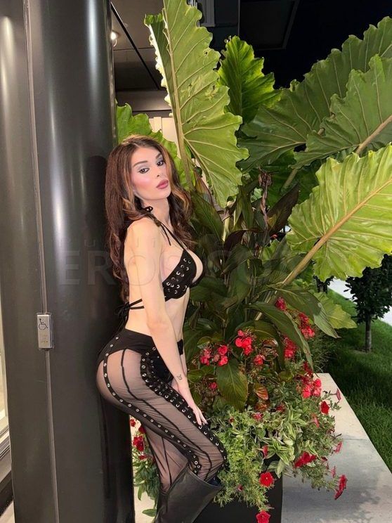 TS Nikki