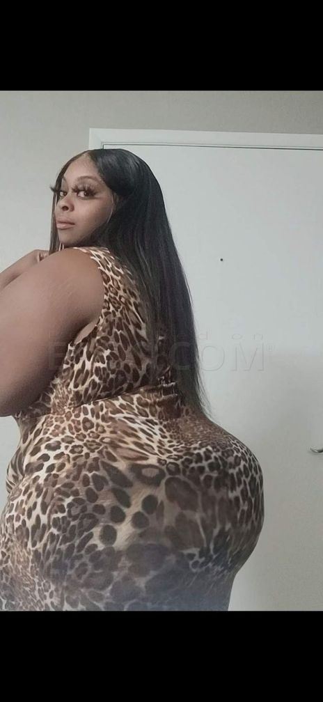 BBW CLAIRE CHEXX
