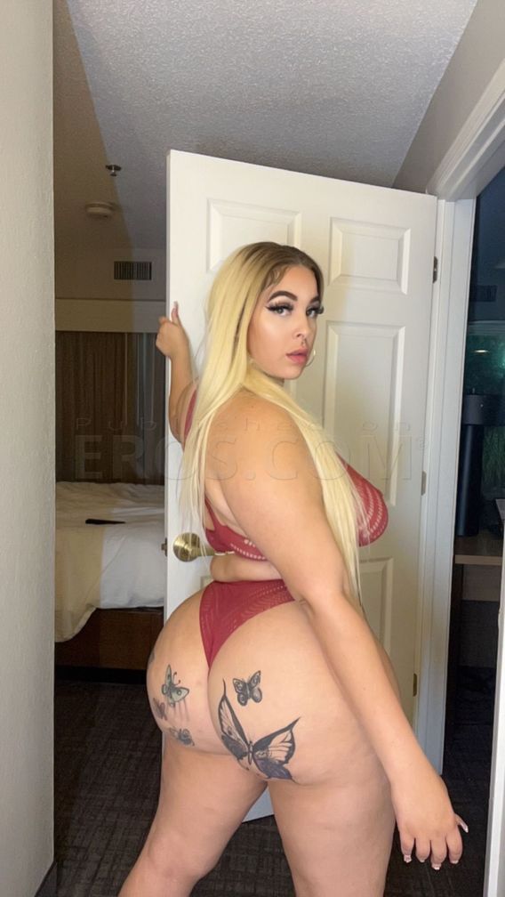 Your new favorite — photo 3