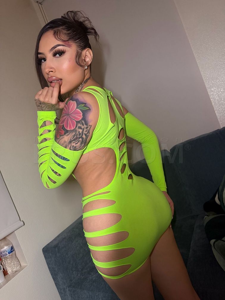 Vanessa — photo 5