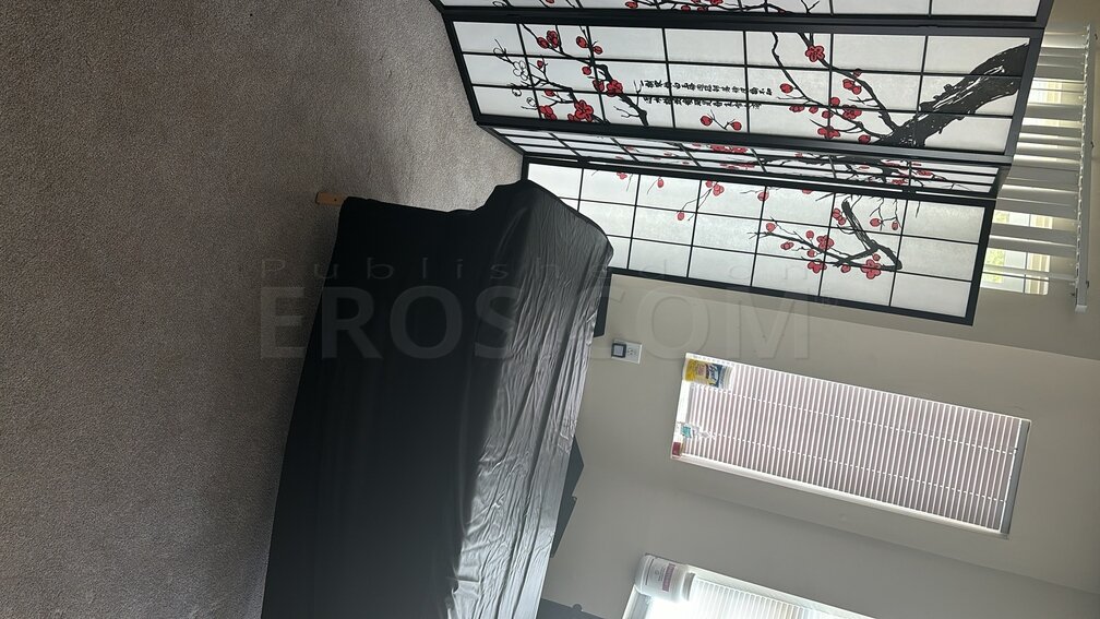 Ivy Fontaine Logan Airport