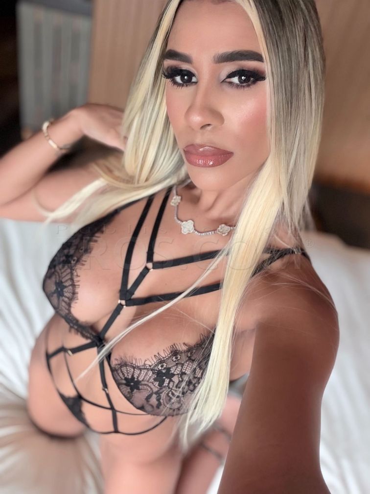 Shaki — photo 4