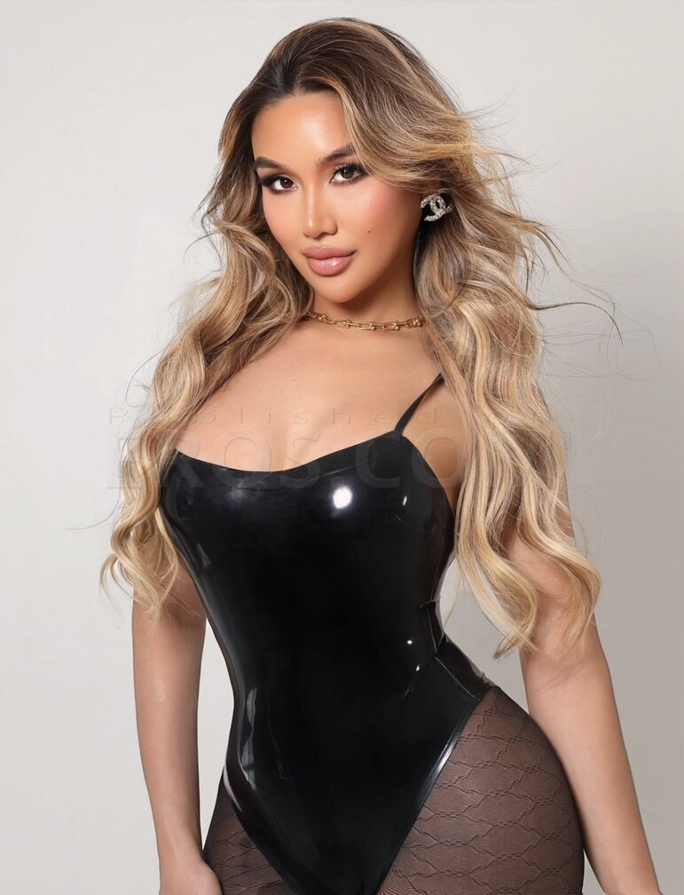 Elite Tiffany in TAMPA