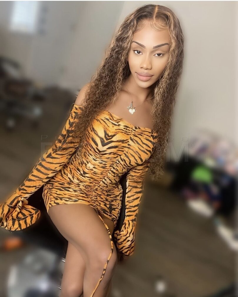 TS Dominican Princess Dream