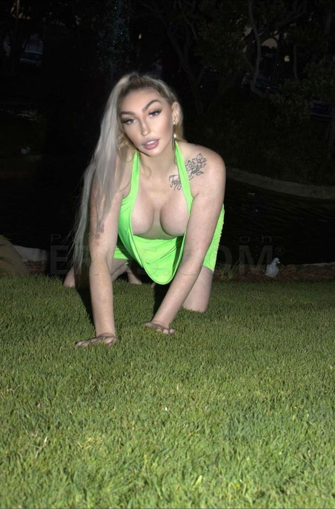 Aspen — photo 3